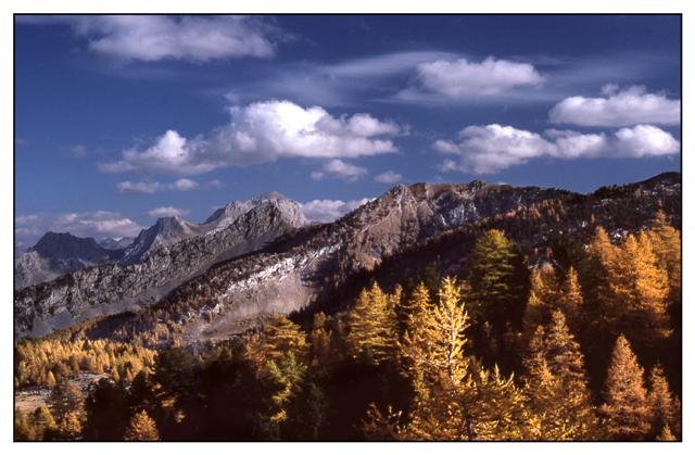 alpes automne.jpg